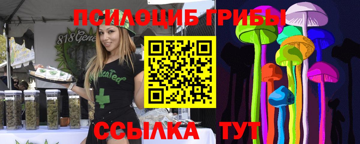 Галлюциногенные грибы Psilocybe Елабуга