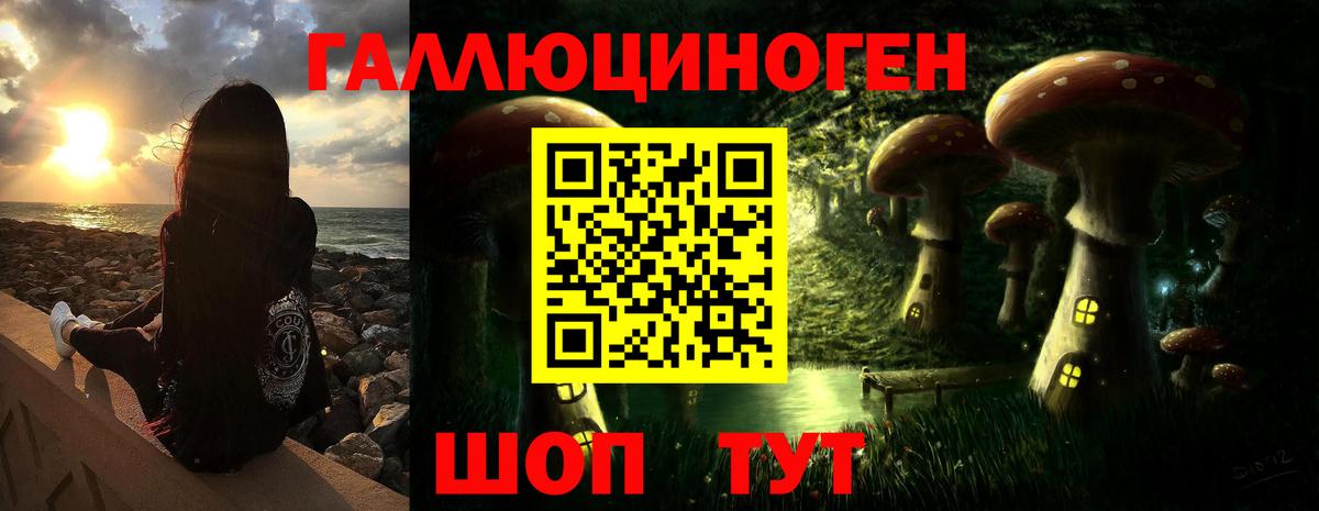 Елабуга  Галлюциногенные грибы мухоморы  Вход с VPN  Псилоцибиновые грибы Psilocybe 